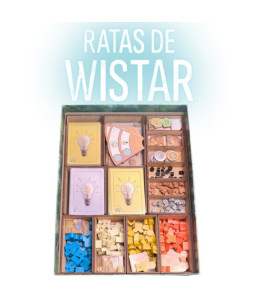 Box Insert for RATS OF WISTAR